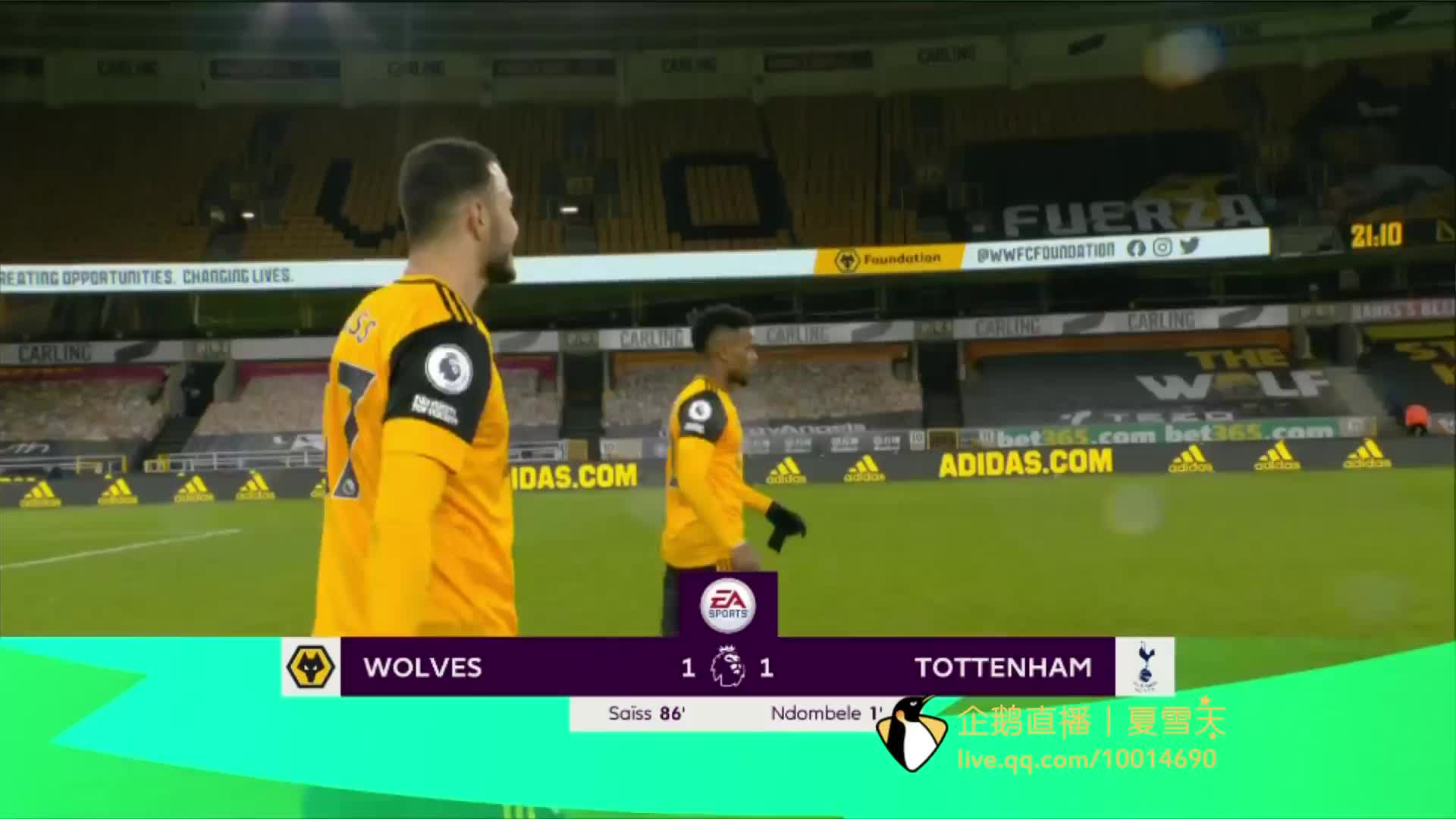 楚地看到年 楚地看到年