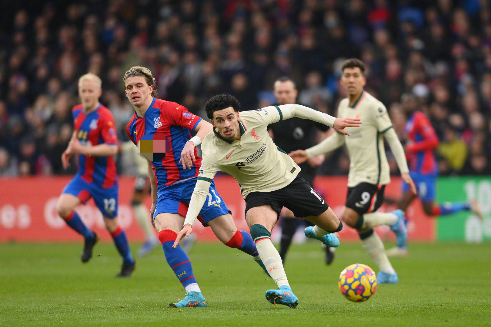 罗就是典型 罗就是典型